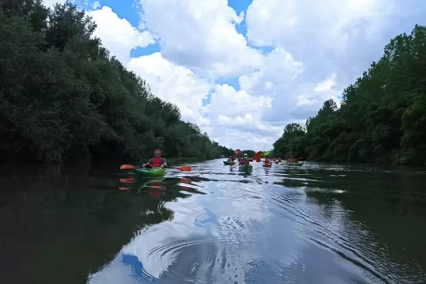 Kajak avantura na Tamišu