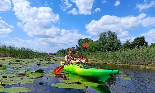 Kajak Rezervat Zasavica 47