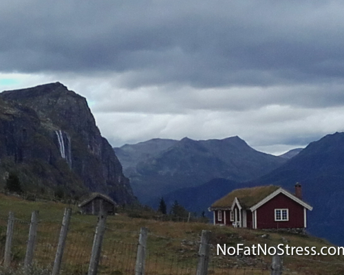 Nofatnostress01