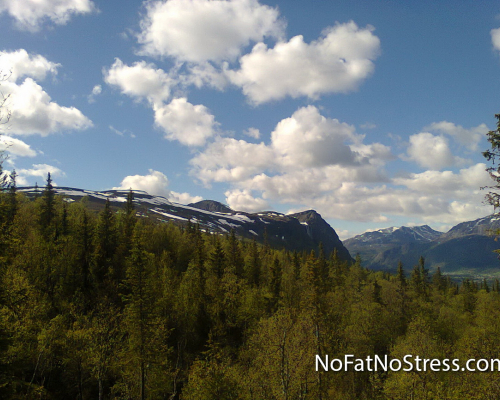 Nofatnostress06