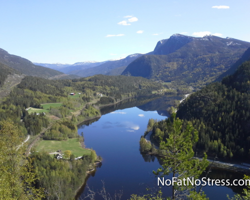 Nofatnostress29